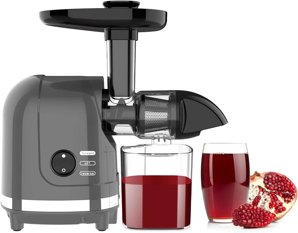 Slow Masticating Cold Press Juicer with Cleaning Brush Y282794