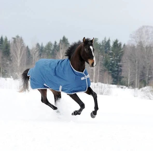 Navy Medium Turnout Blanket E332