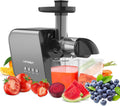 Slow Masticating Cold Press Juicer with Cleaning Brush Y282794