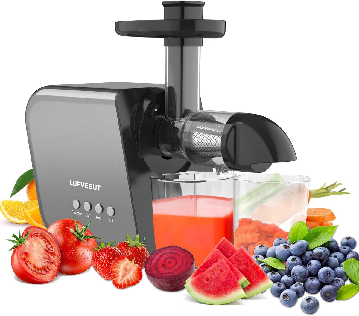 Slow Masticating Cold Press Juicer with Cleaning Brush Y282794