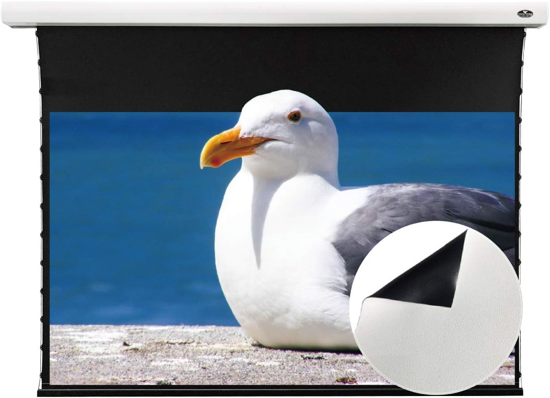 Motorized Tension Projector Screen Y775