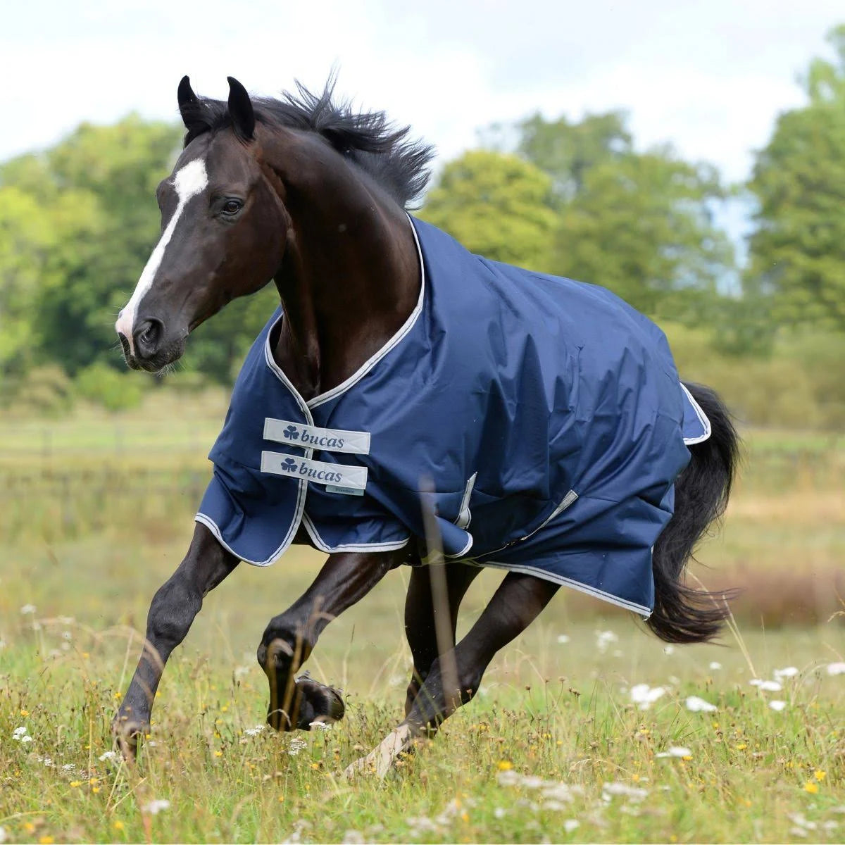 Navy Medium Turnout Blanket E332