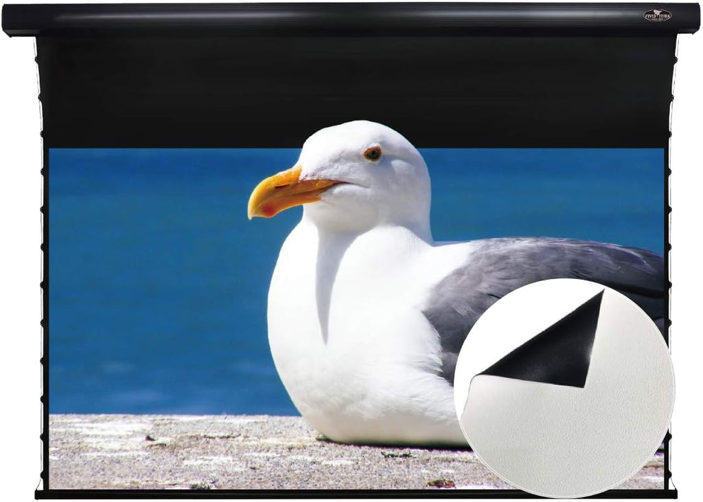 Motorized Tension Projector Screen Y775