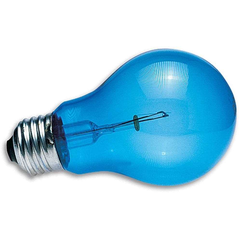Daylight Blue Reptile Bulb S542