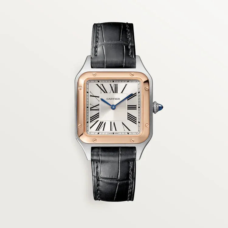Leather Frog Boxing Unisex Watch D3690