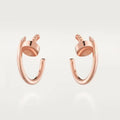 Earrings S7809