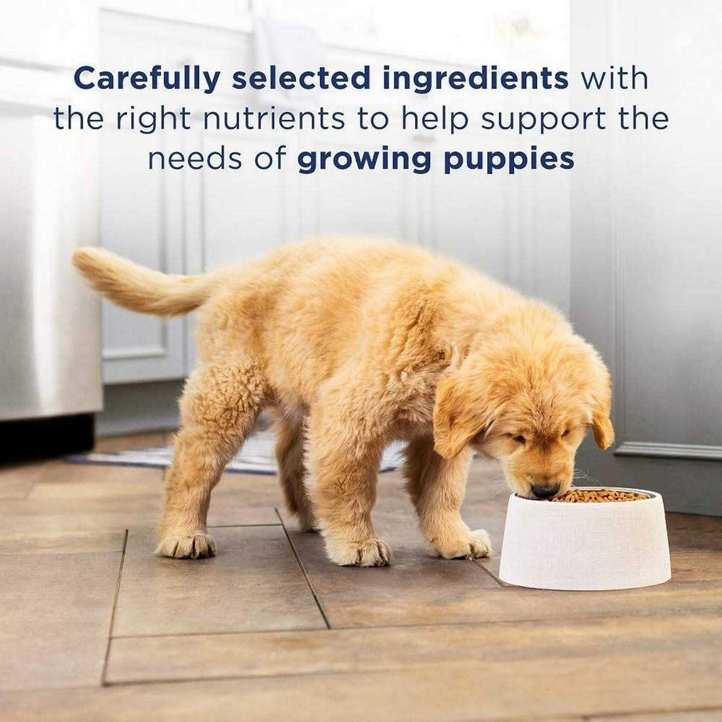 Limited Ingredient Lamb & Brown Rice Dry Dog Food J378