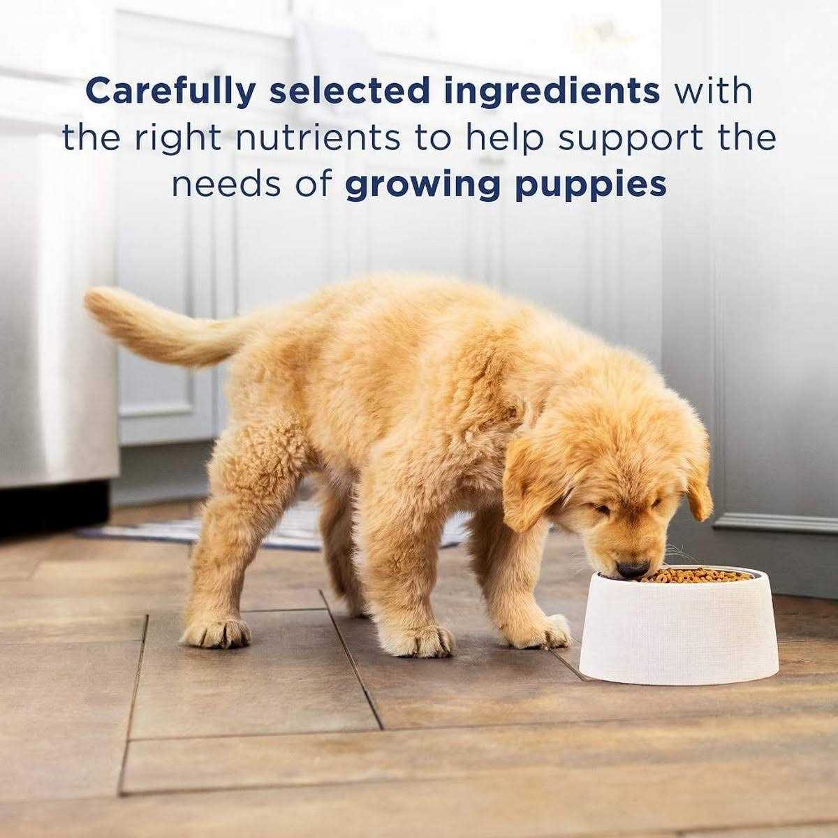 Limited Ingredient Lamb & Brown Rice Dry Dog Food J378