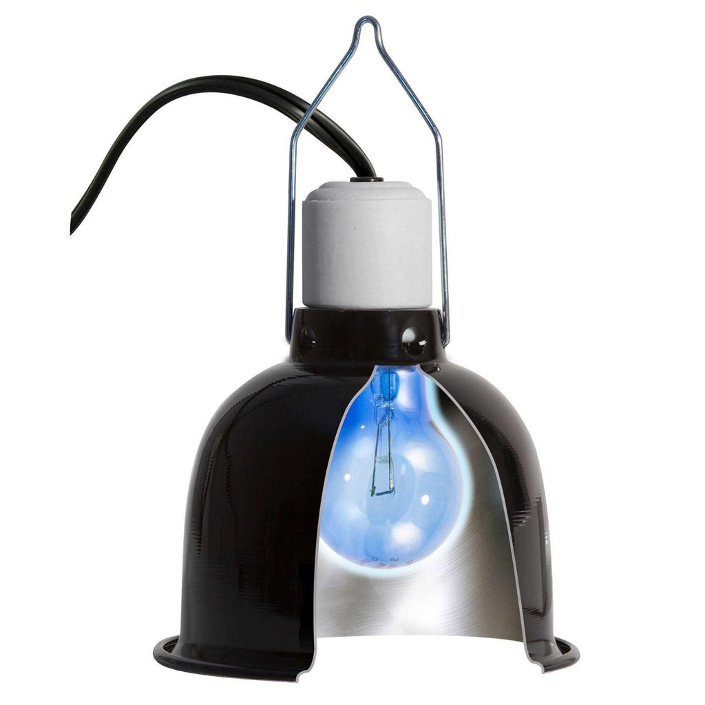 Daylight Blue Reptile Bulb S542