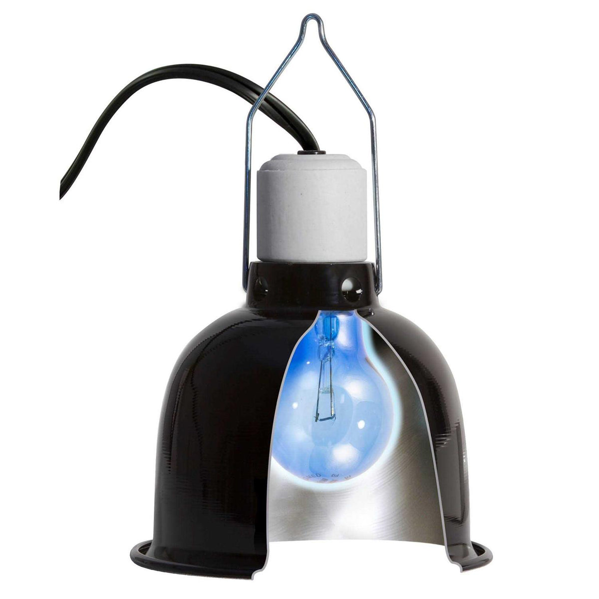 Daylight Blue Reptile Bulb S542