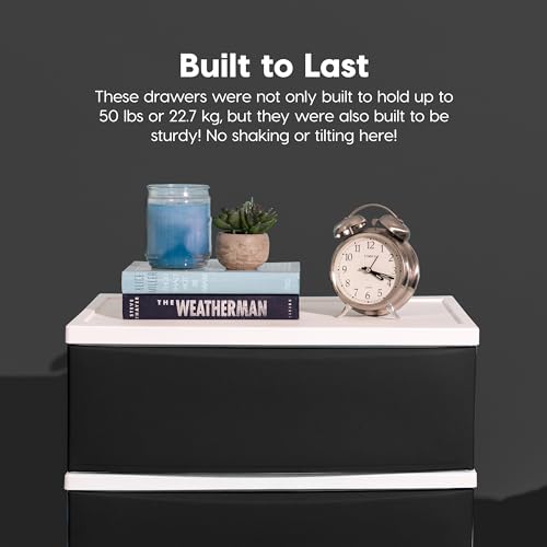 Plastic 4-Drawer Storage Organizer N62134