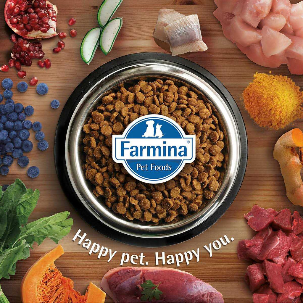 Lamb Dry Cat Food Q1076
