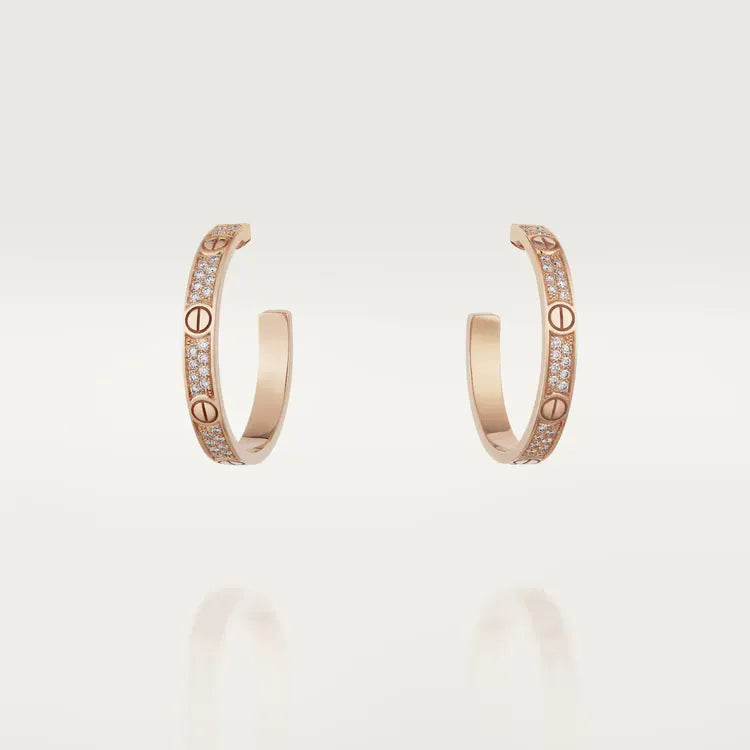 Earrings U372949
