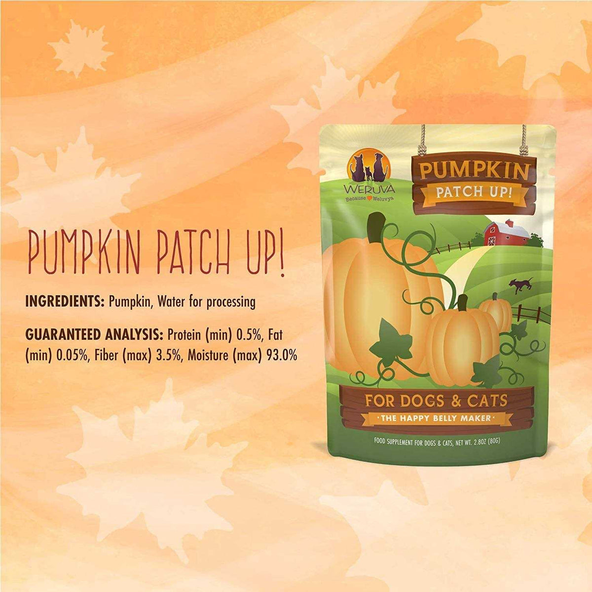Pumpkin Patch Up U449459