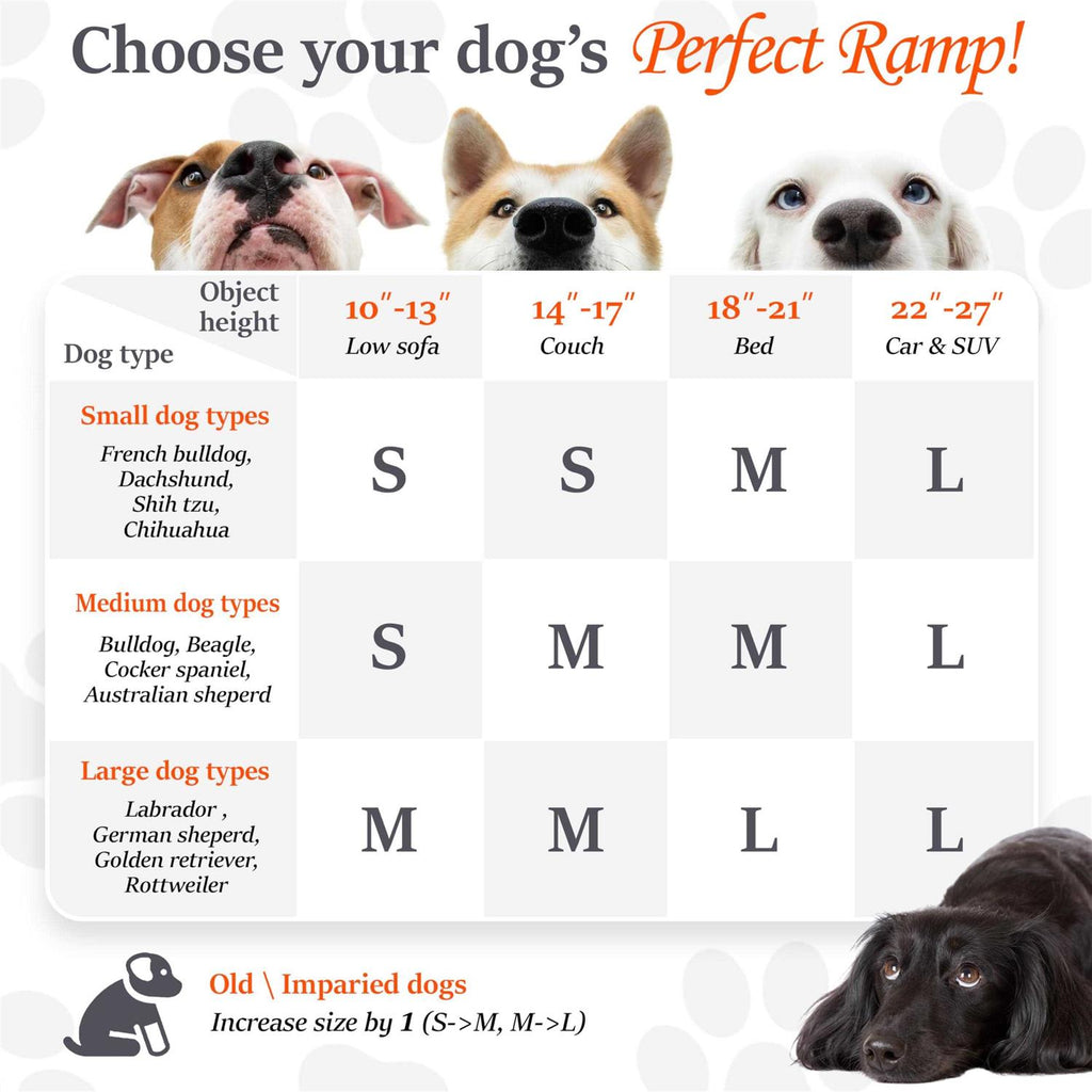 Dog Ramp L1126