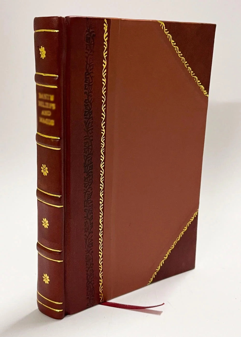 Anarkhizm V Soedinennykh Shtatakh Leather Bound F843