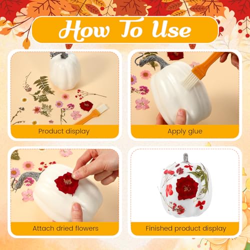 12 Pcs White Artificial Pumpkin and 140 Pcs Dried Flowers DIY Crafts Kit Q63664