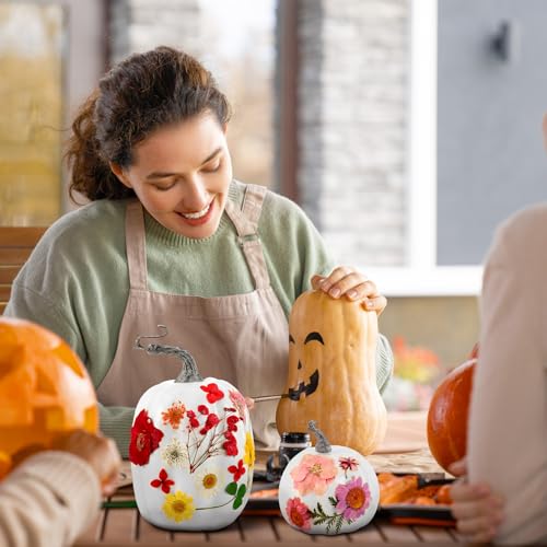 12 Pcs White Artificial Pumpkin and 140 Pcs Dried Flowers DIY Crafts Kit Q63664