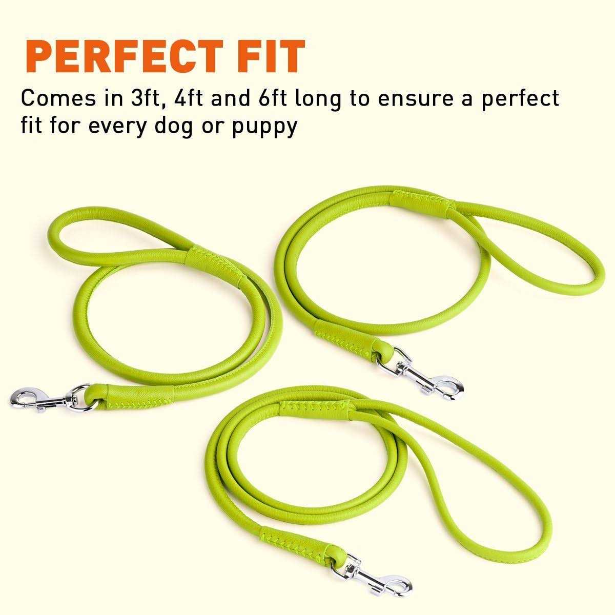 Soft Leather Round Leash W500498