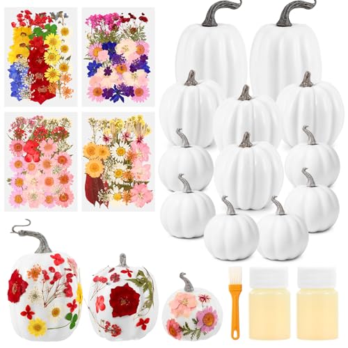 12 Pcs White Artificial Pumpkin and 140 Pcs Dried Flowers DIY Crafts Kit Q63664