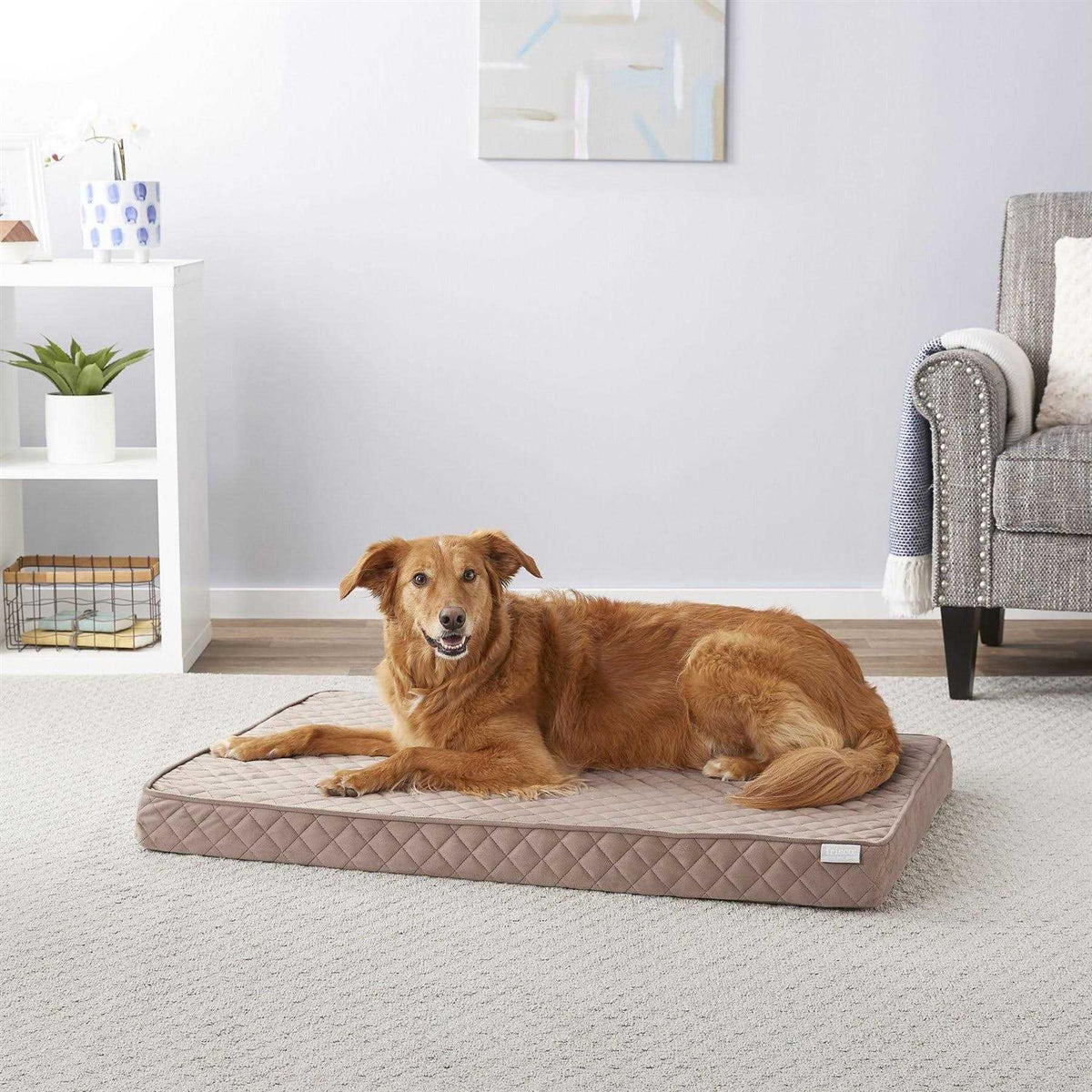 Quilted Orthopedic Cat Dog Bed with Removable Cover B342