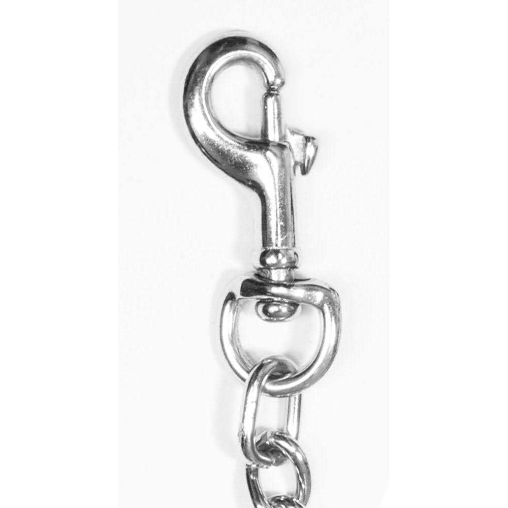 5' Nylon & Steel Chain Dog Leash F1055