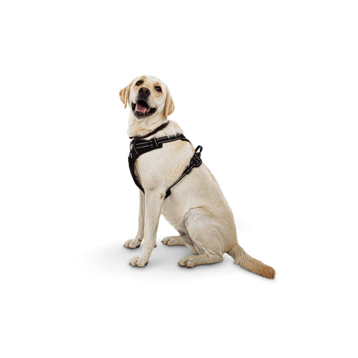 Black Front Walking Dog Harness L1779