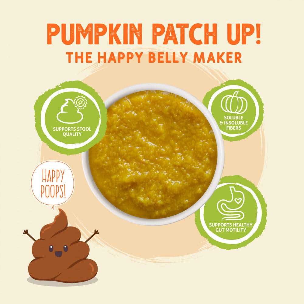 Pumpkin Patch Up U449459