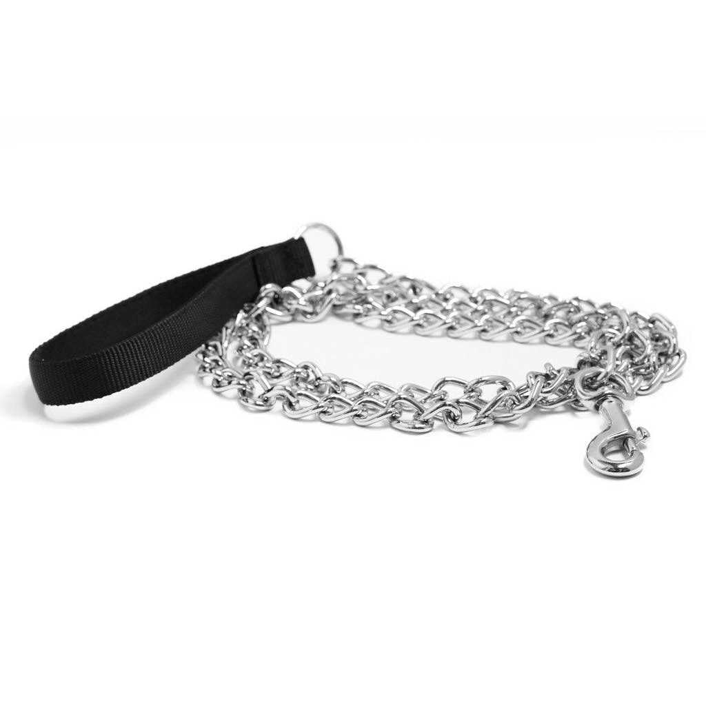 5' Nylon & Steel Chain Dog Leash F1055