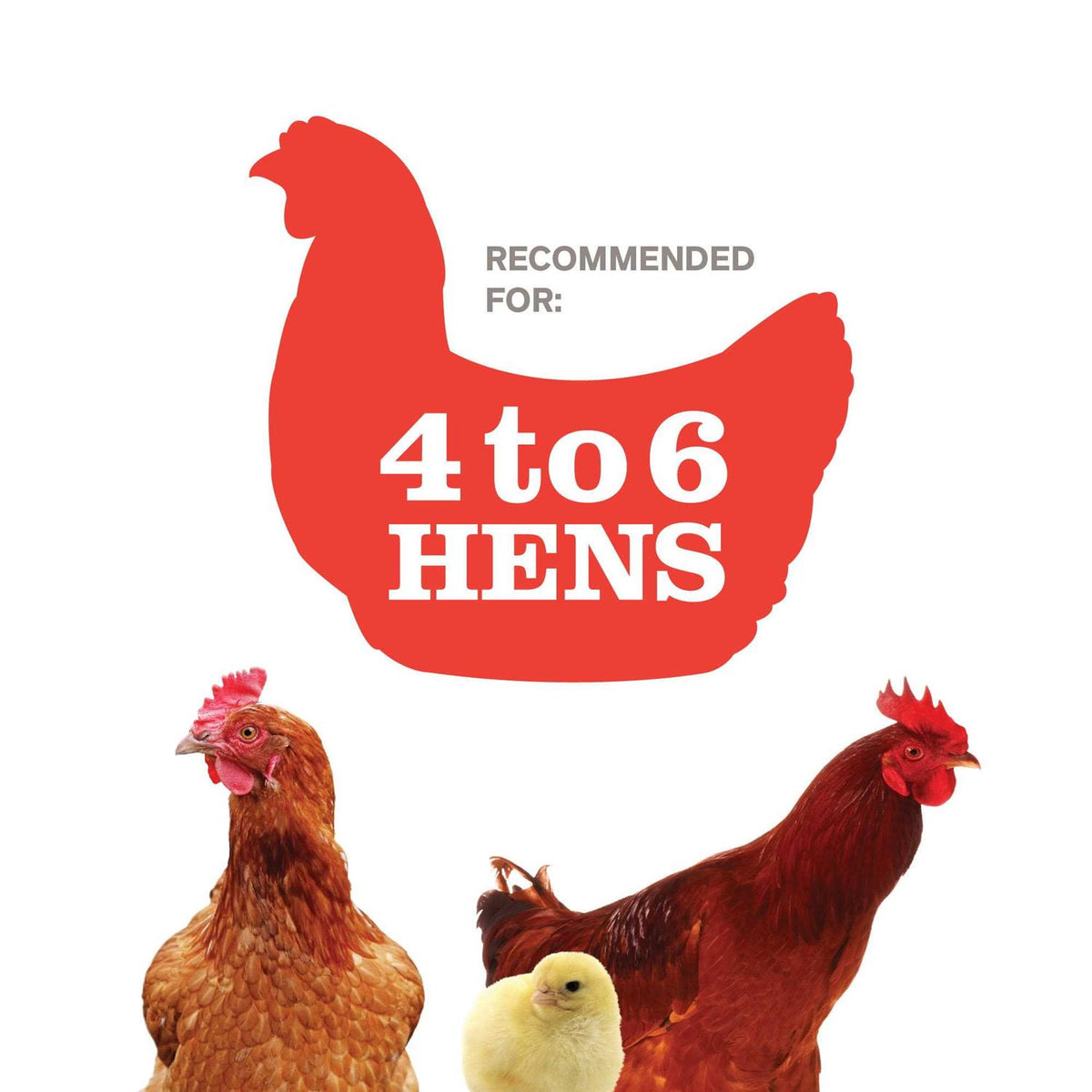 Red Barn Chicken Coop A640435