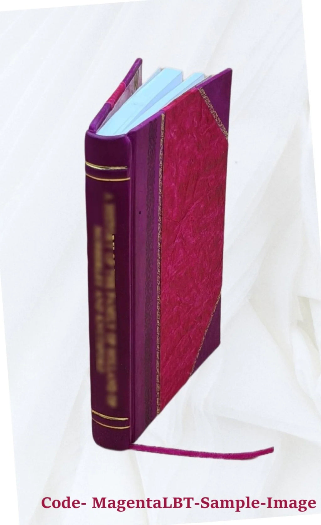 1920 Seed Catalogue Leather Bound L714