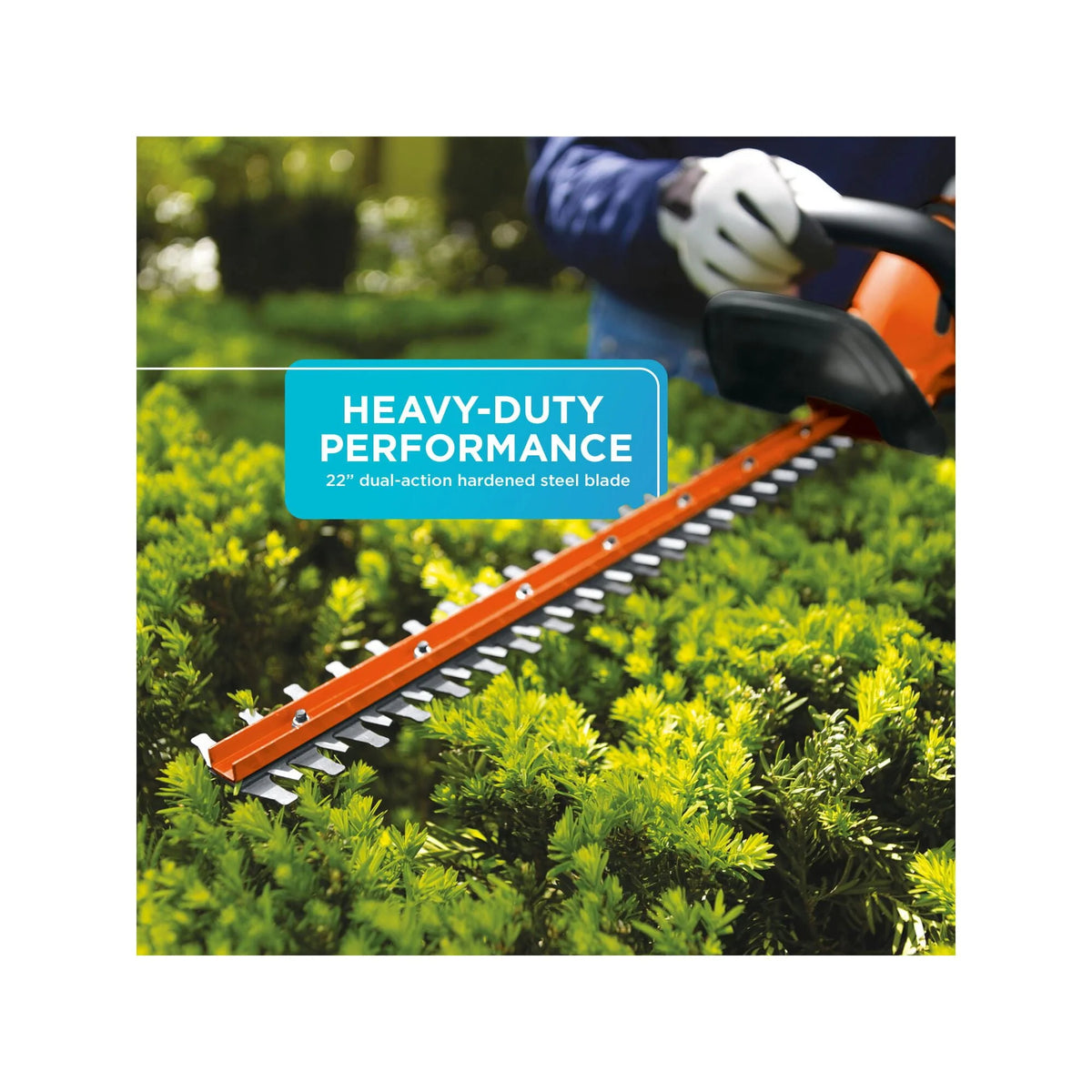Cordless Lithium 22 in. Hedge Trimmer R8921