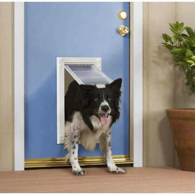 Double Flap Pet Door B19782