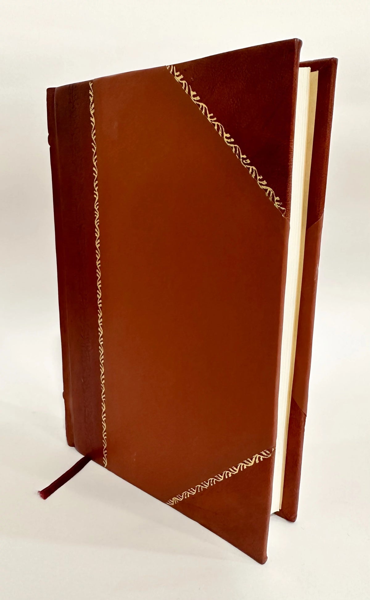 Anarkhizm V Soedinennykh Shtatakh Leather Bound F843
