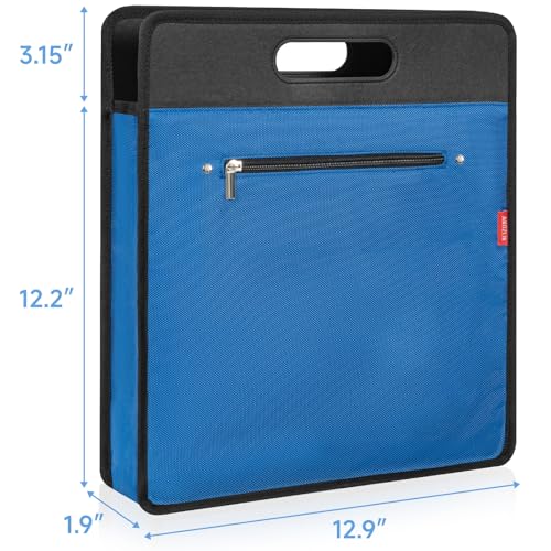 Vinyl Record Carrying Bag D2516