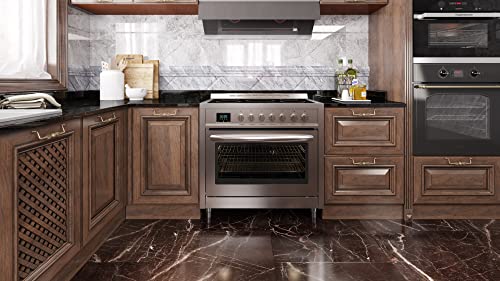 36 Inch Electric Range Oven with Ceramic Cooktop, Stainless Steel, 4.3 cu. ft. Z43584