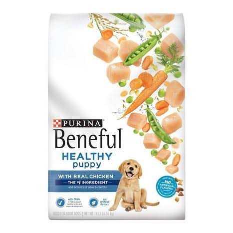 Chicken Dry Dog Food S490